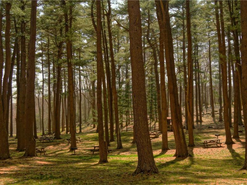 sudoku training mode screenshot 2